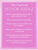 07_honor pledge-1